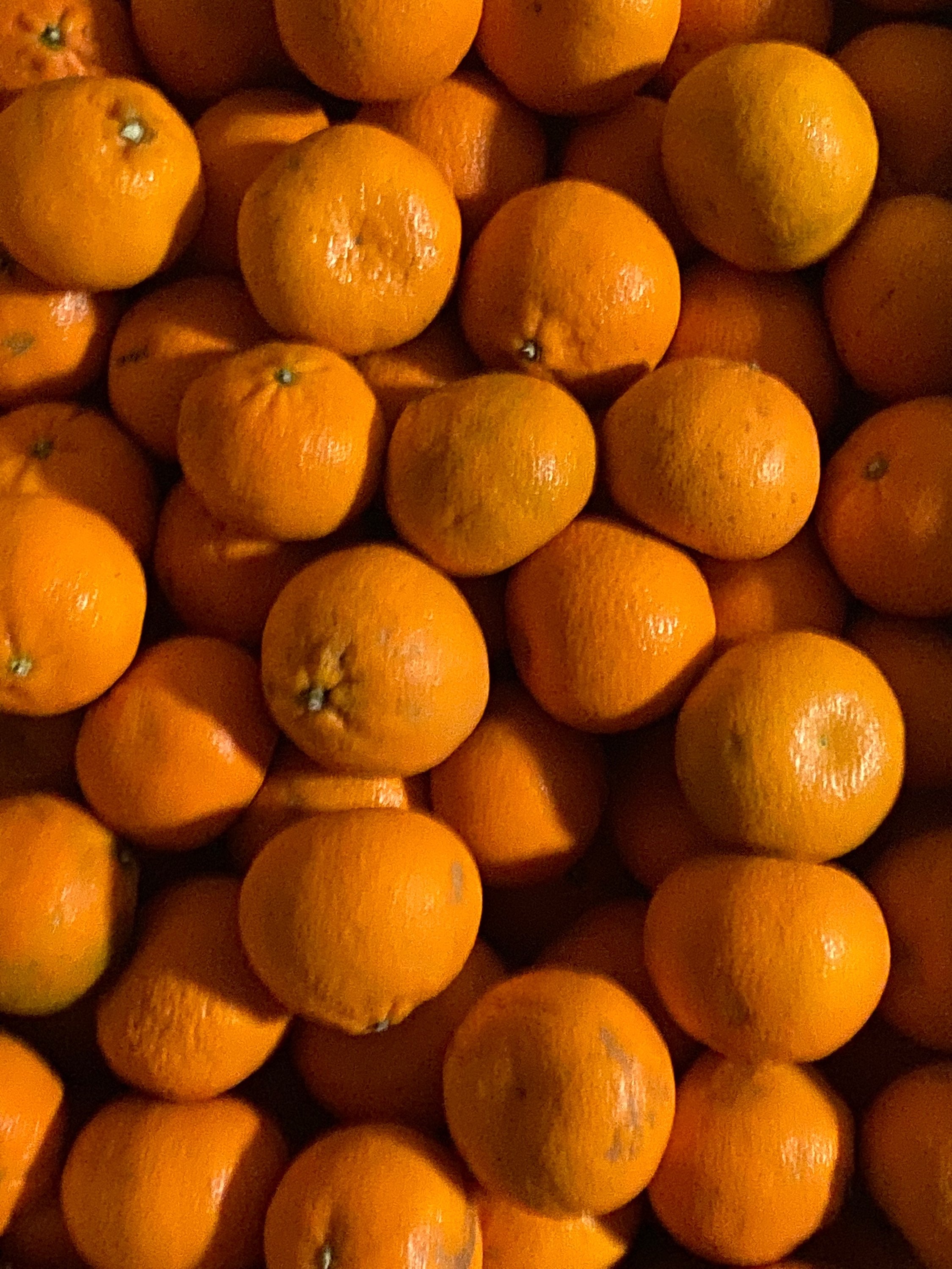 Tangerines image 0