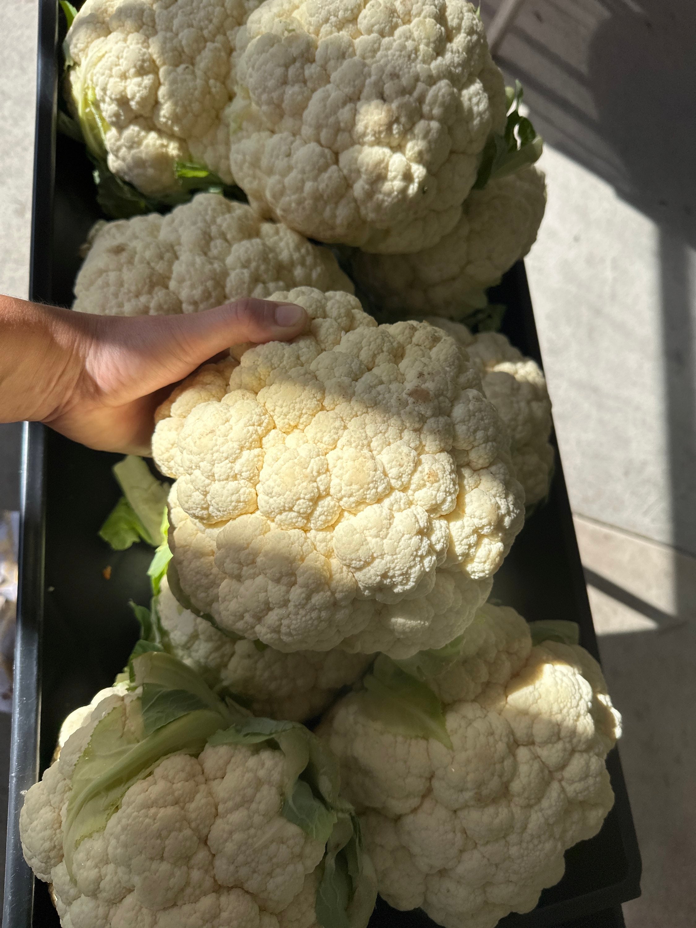 XL Cauliflower  image 0