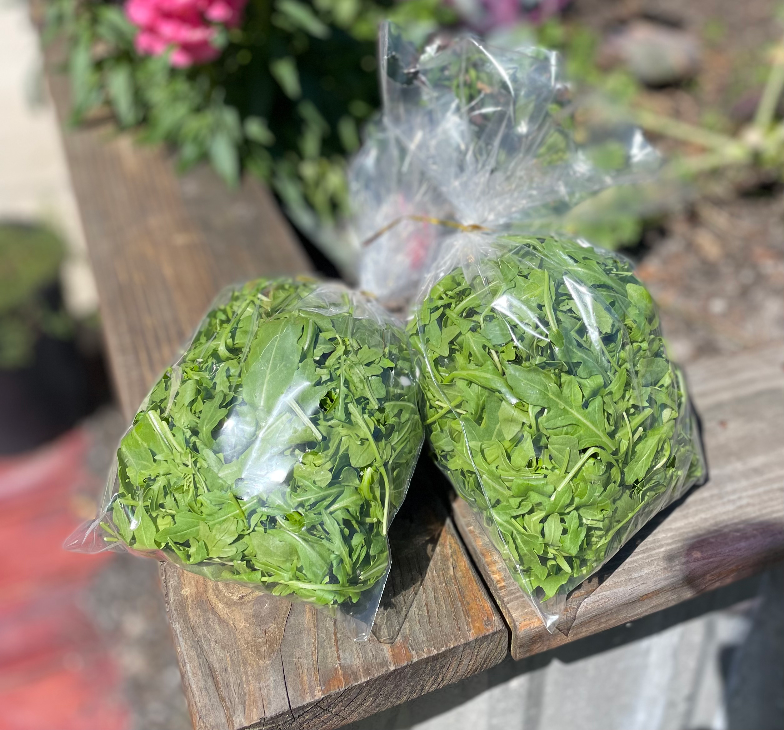 Organic Baby Wild Arugula -6oz image 0