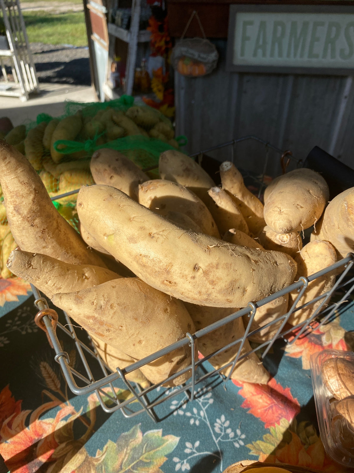 White Sweet potatoes - per pound image 0