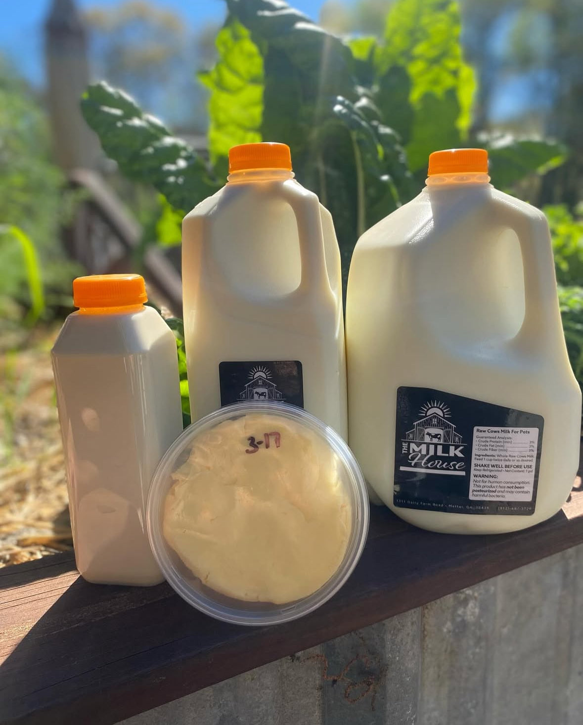 Raw Milk - Pre Order for next week- SILVER BLUFF PICK UP ONLY - image 1