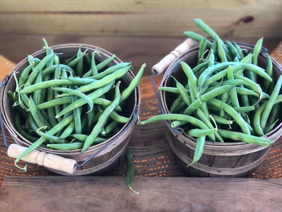 Green Beans - 1# image 0
