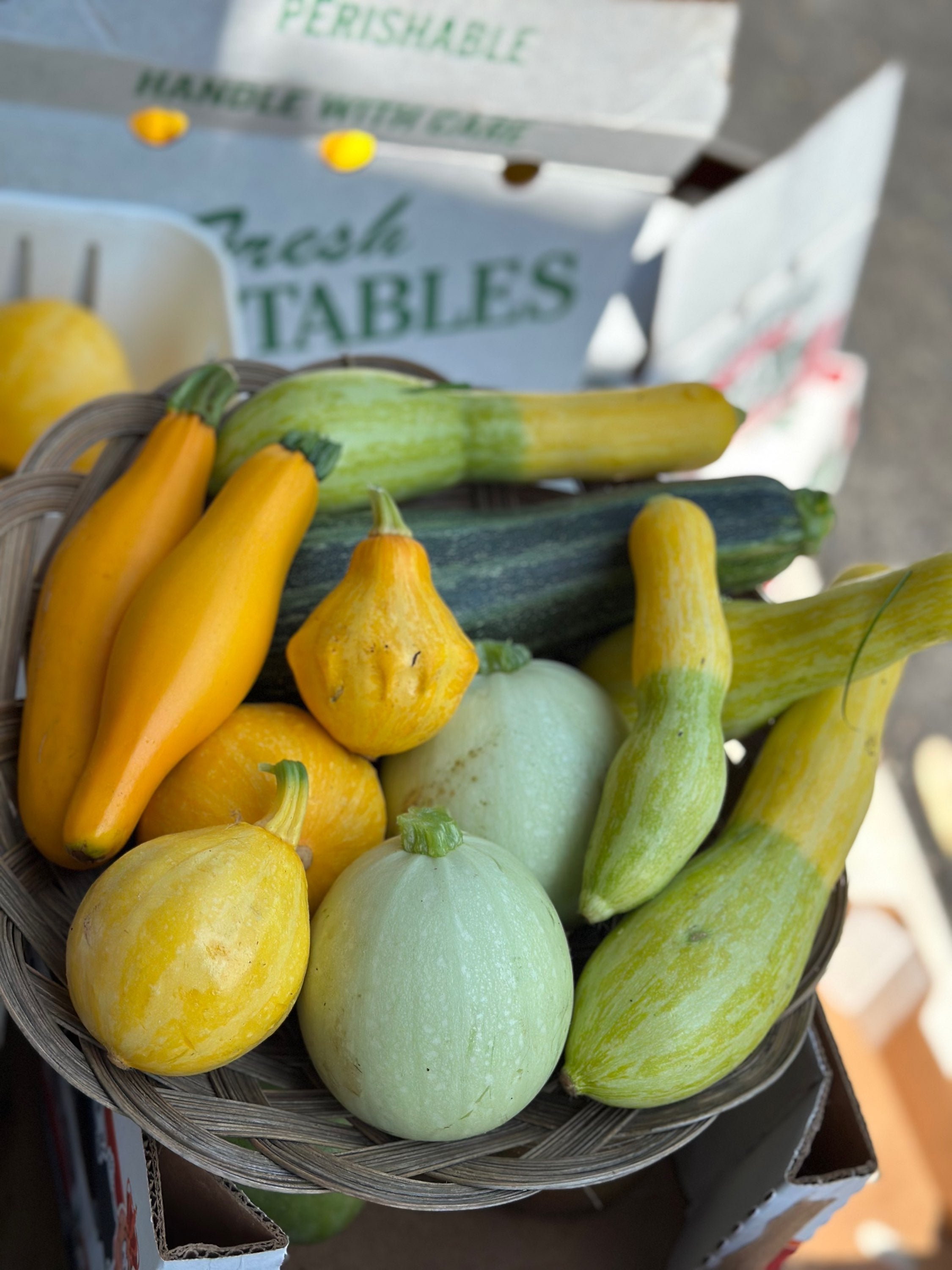 Farm 99 Mixed heirloom squash image 0