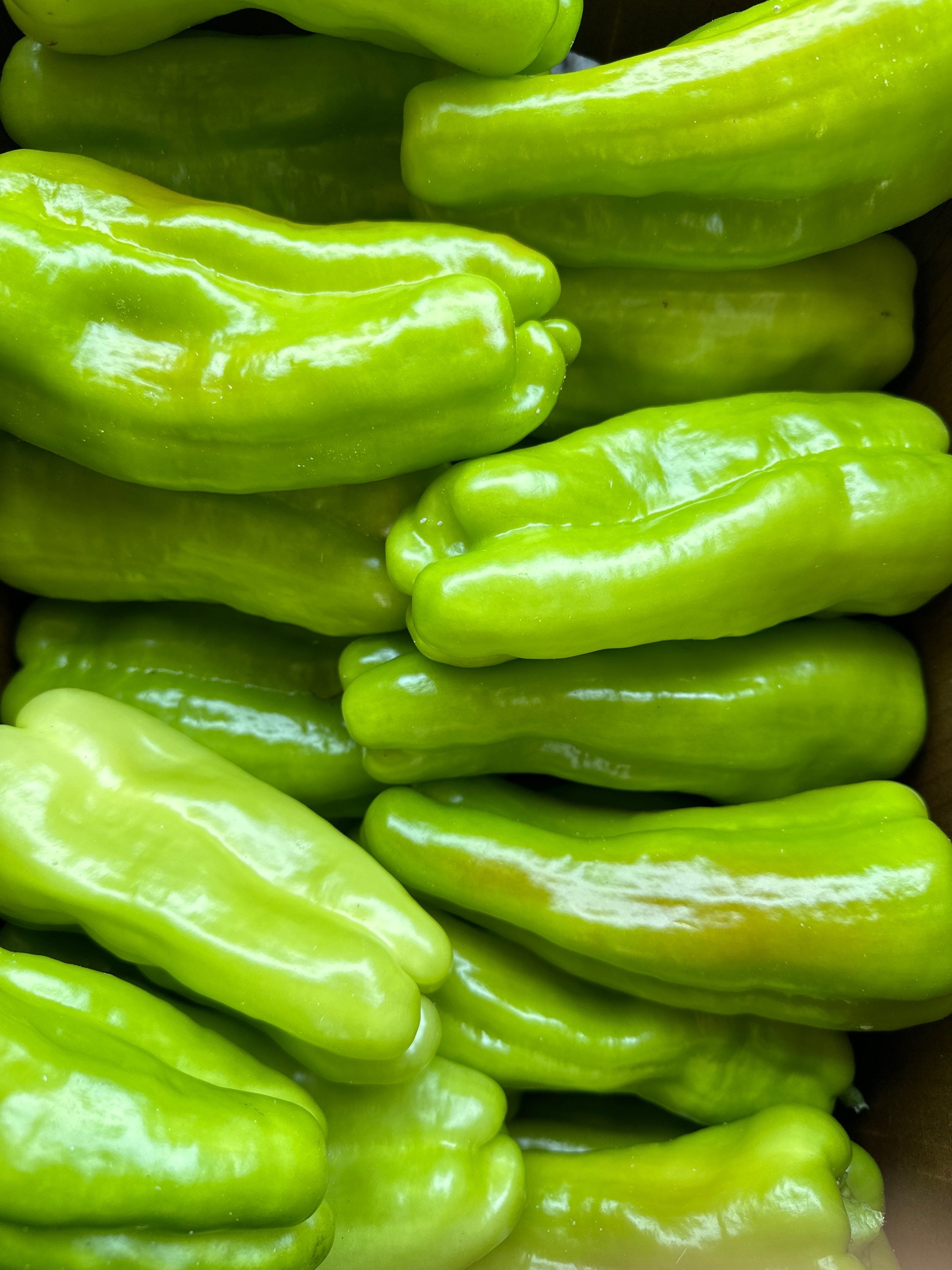 Cubanelle Peppers - each image 0