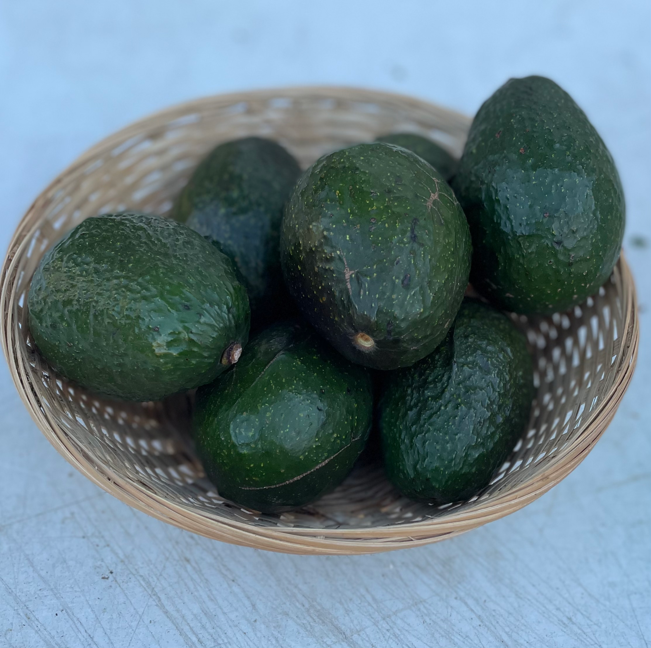 Haas Avocados - each image 0