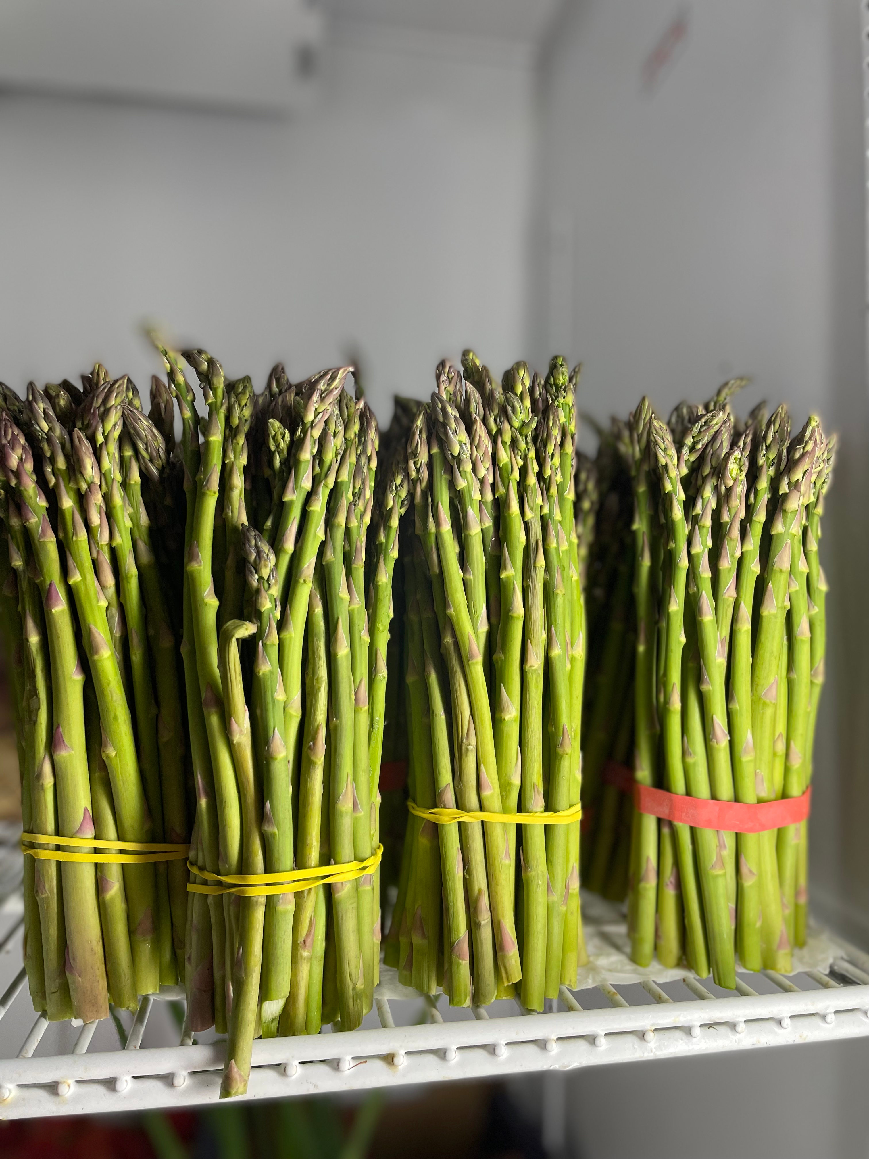 Asparagus  image 0
