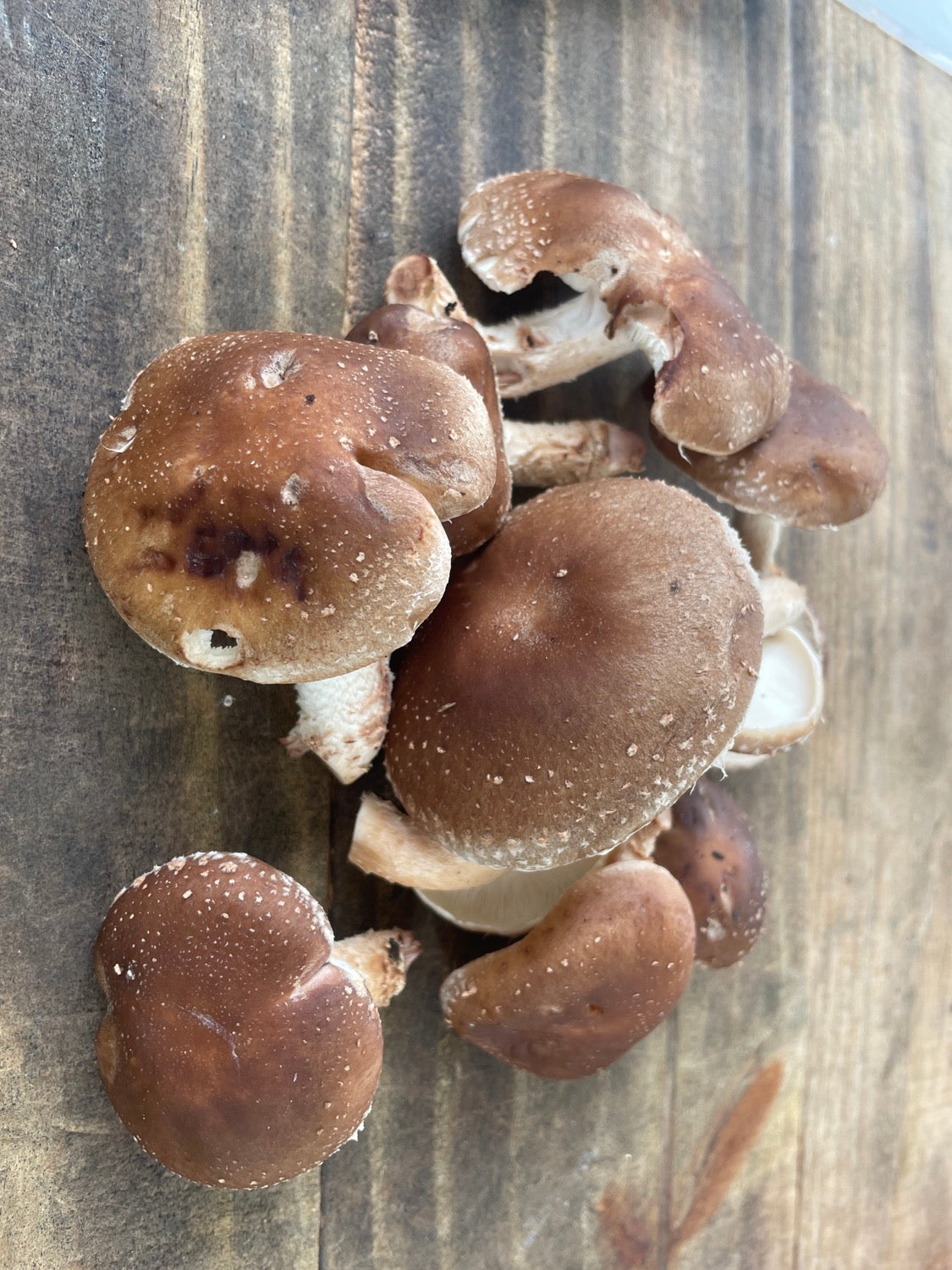 Shiitake Mushrooms  image 0