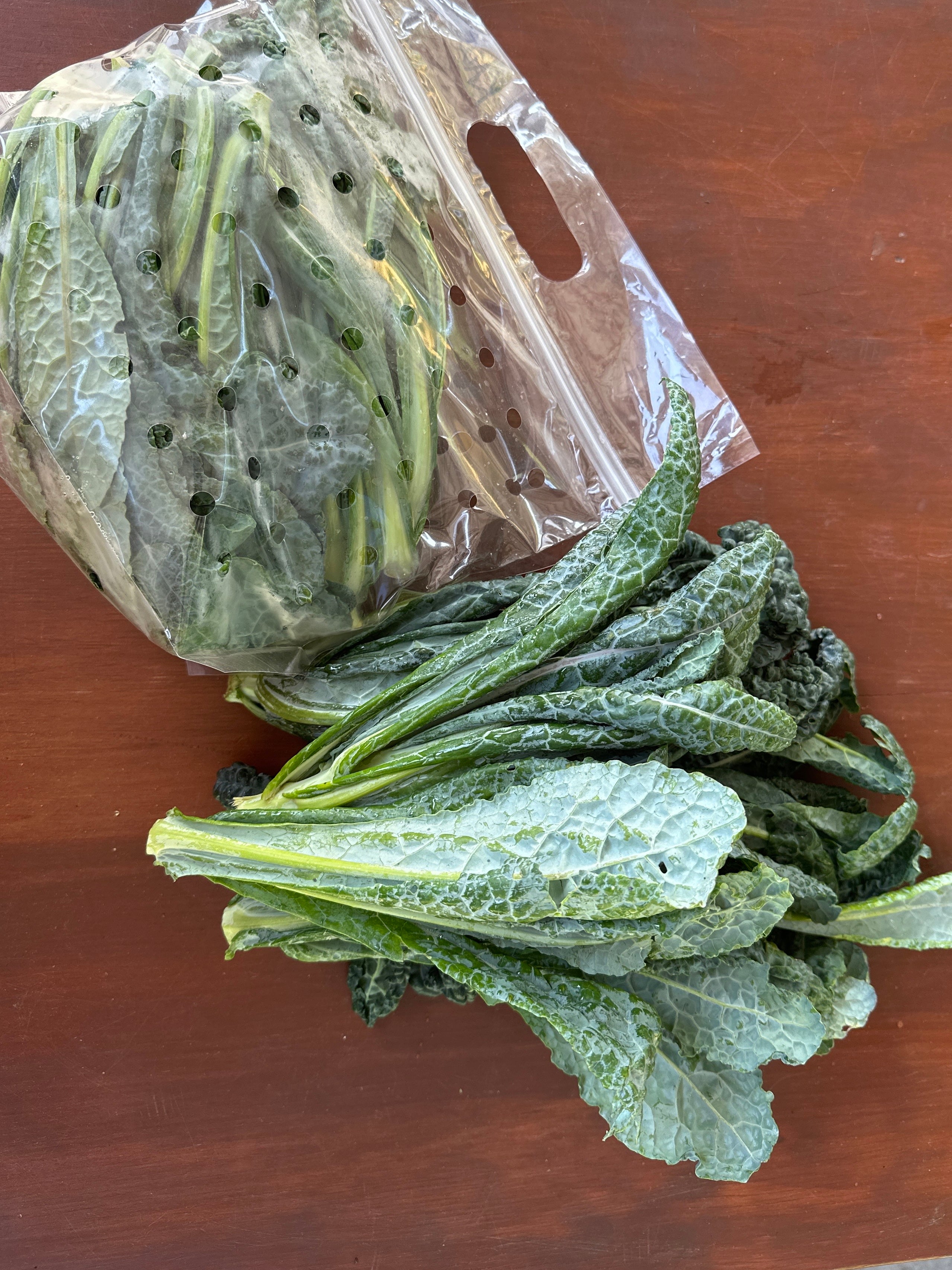 Dinosaur Kale Lacinato bundle image 0