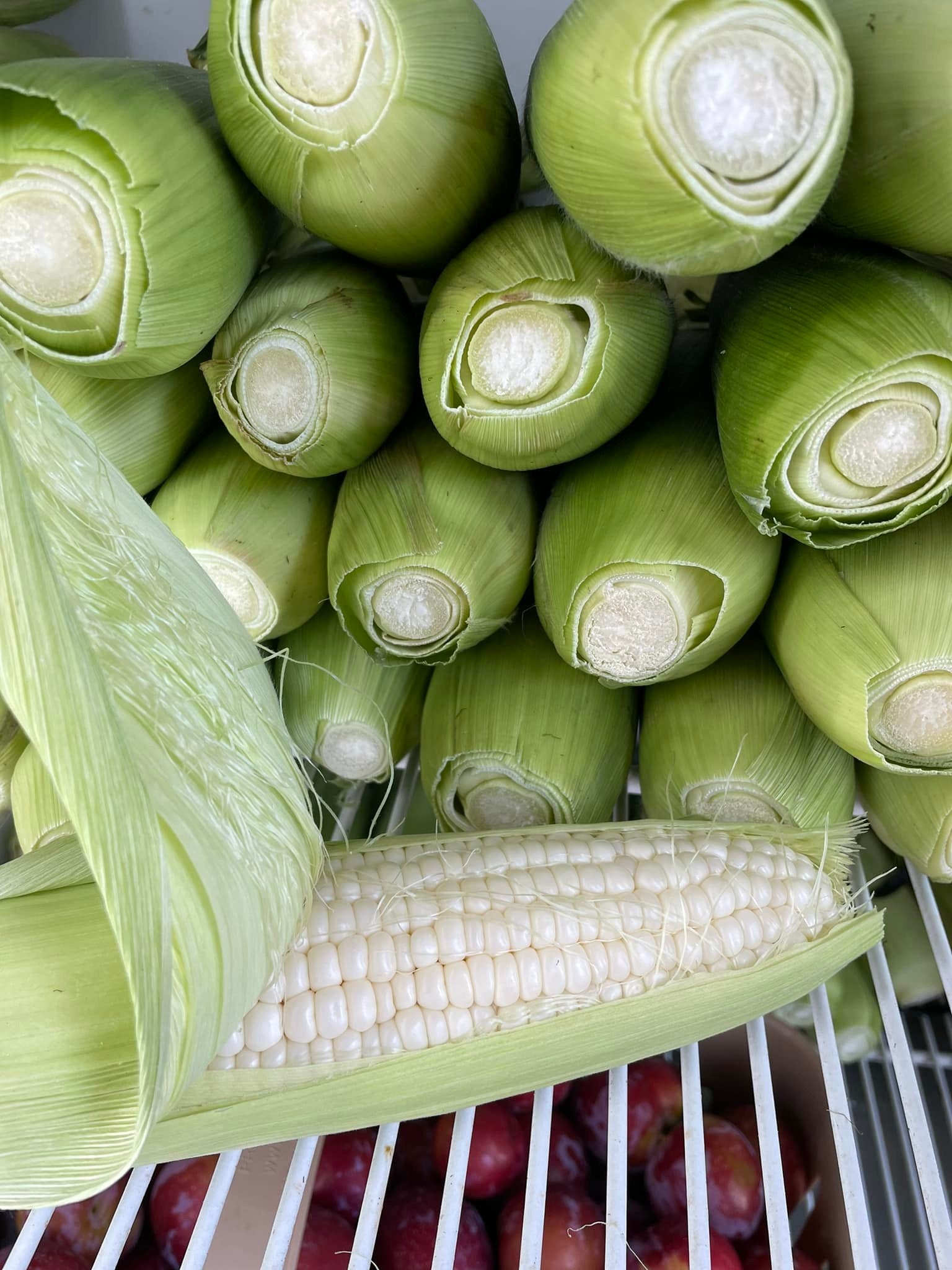 Sweet White Corn  image 0